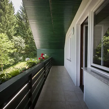 Villa Bohinj Holiday home Bohinj