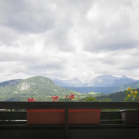 With Views On Alps * Bohinj