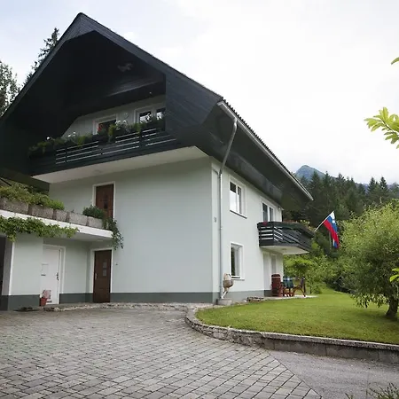 Villa Bohinj *