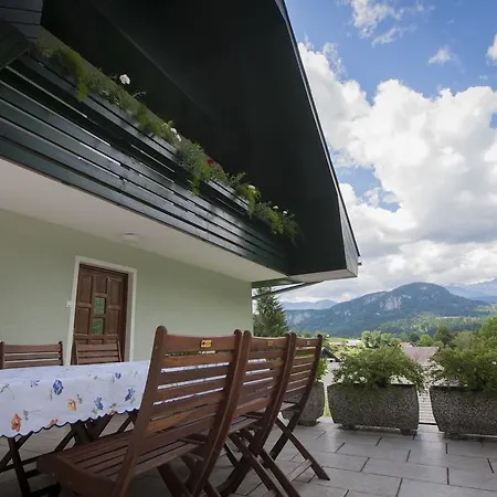 With Views On Alps * Bohinj