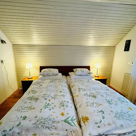 Villa Bohinj