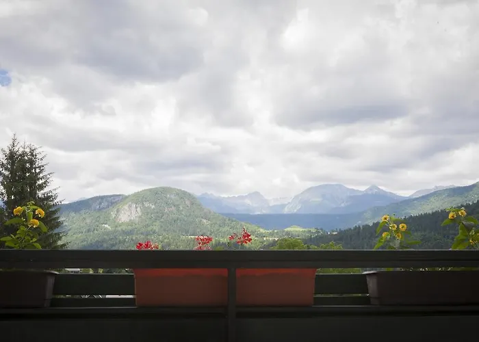 With Views On Alps * Bohinj