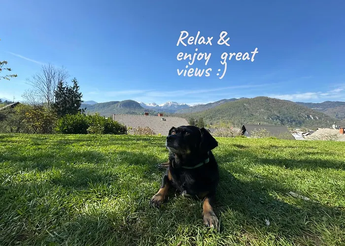 With Views On Alps *