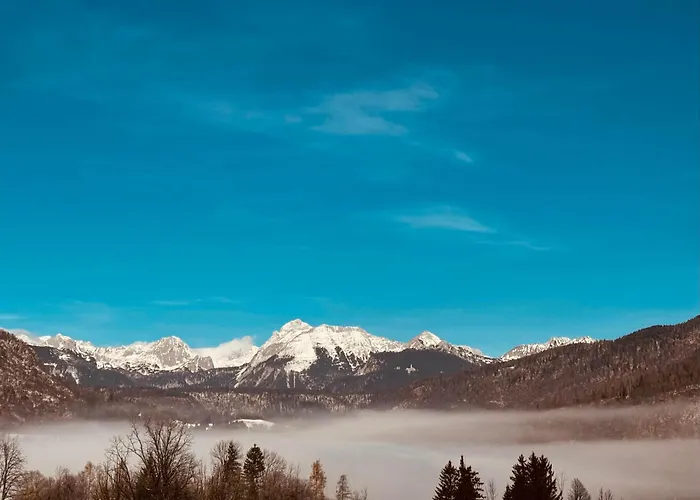With Views On Alps * Bohinj